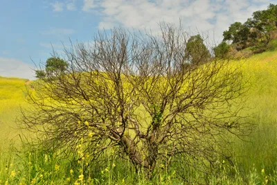 DSC_6403 (Large).JPG